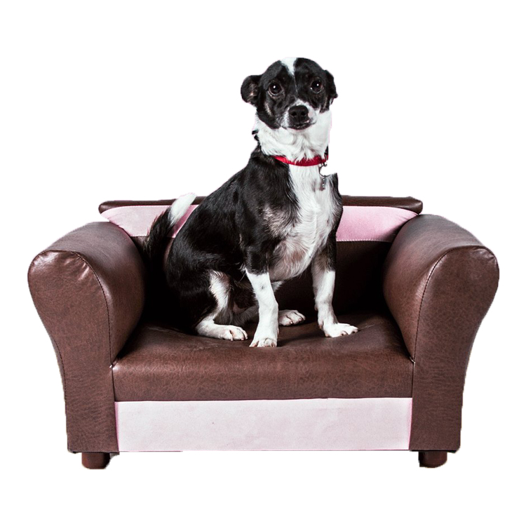 Comfortable Cover Luxury Pet Sofa Furniture for Dog