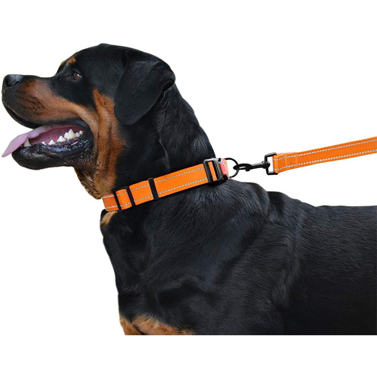 Soft Colorful Designer Wholesale Nylon British Style Dog Collar