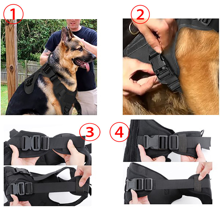 Luxury Dog Harness Custom Reversible Adjustable Dog Backpack Harness