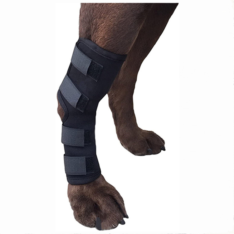 Dog Injury Fixed Bandage Knee Leggings Custom Pet Knee Pads