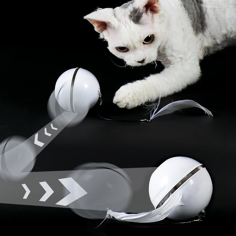 High Quality Best Price Cat Laser Toy With Funny Feather Automatic Lifting Interactive