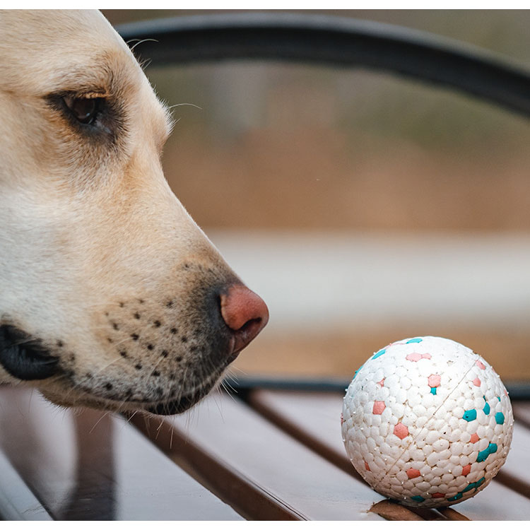 New Design Practical Cute Popcorn Teething Training Dog Pet Supplies Toy Ball