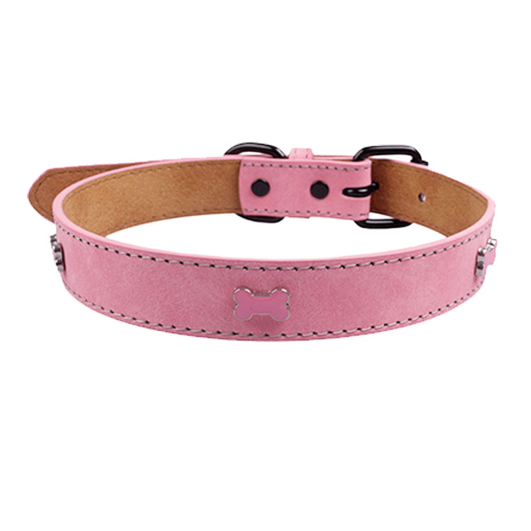 Factory Direct Pet Colorful Bone Dog Collar Small And Medium-sized Dog Travel Traction Lost Collar 