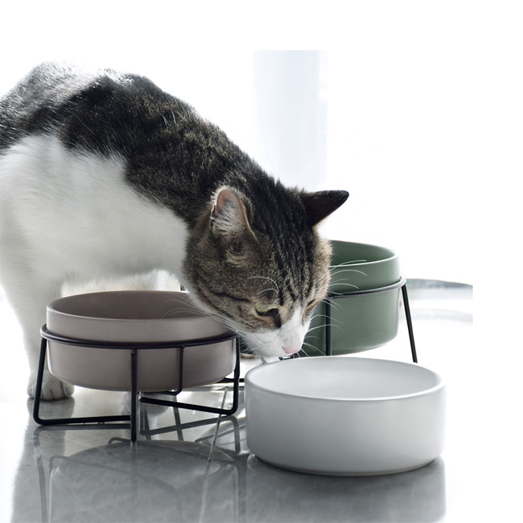 No Spill Pet Water Surefeed Surefeed Tomoni Slow Feeder Insert Interactive Designer Weighted Dog Bowls