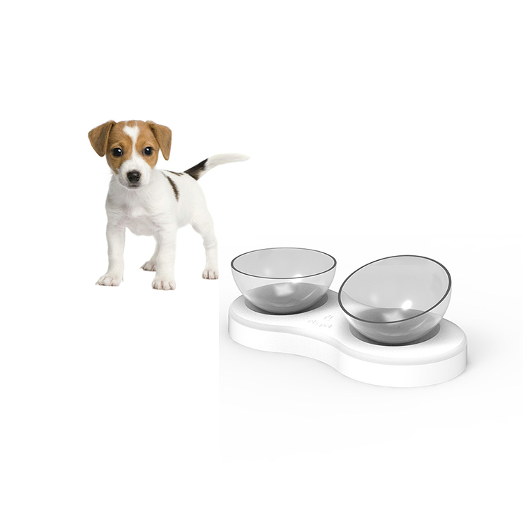 Heated Spill Proof Cute Automatic Water Raised Slow Feeder Best Dog Bowls